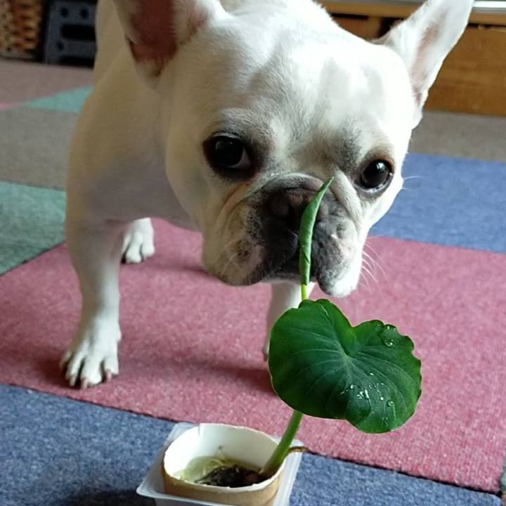 47f2eeaa 83dd 4a16 9082 40f5966a4f13 1654040569447