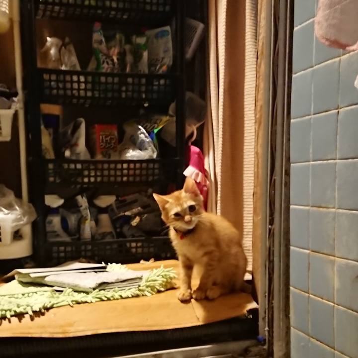 47f2efa5 6709 4d8e a4f4 238d38b7525a 1631182304687