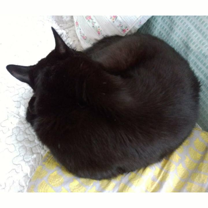 47f30972 dfd0 475a 9e61 a0488676759f 1593145178083