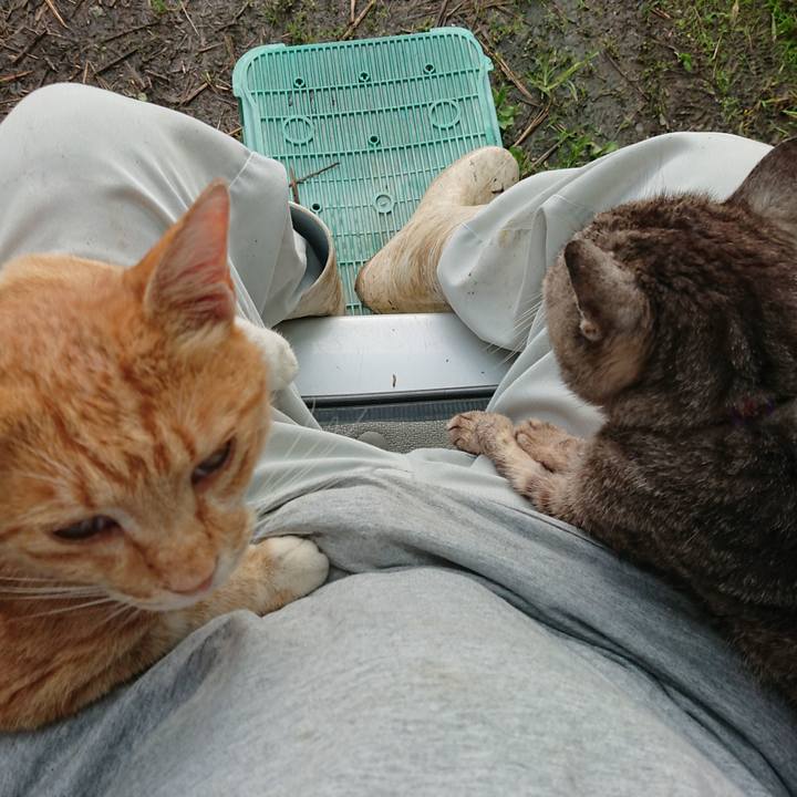 47f30b4a 1f28 476b b462 f8de80a4a7b4 1596233945464