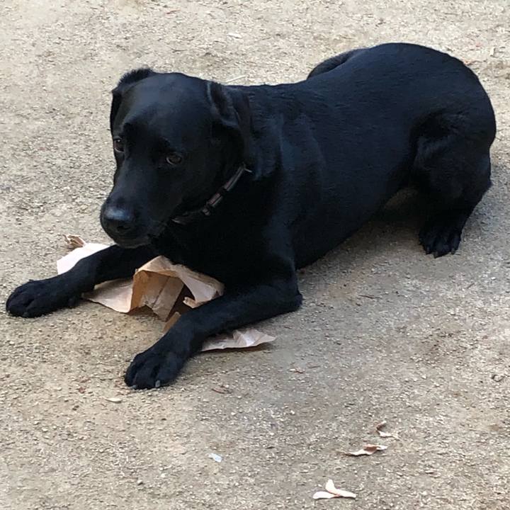 47f31619 cf9e 435b 9cbd 5f90f9eb531e 1588659044421