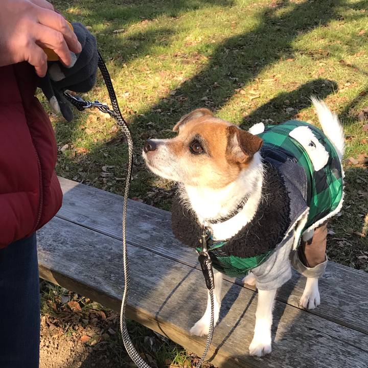 47f31ec4 71ce 487f 96aa d3f4714541fc 1546744613367