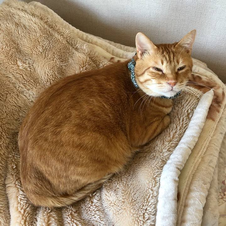 47f32a20 abaf 4457 964c 9b0d7bc904ae 1557634799358