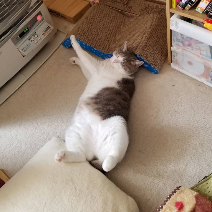 47f335be 91dc 4ed8 9ea8 276d183d11c0 1573518334085