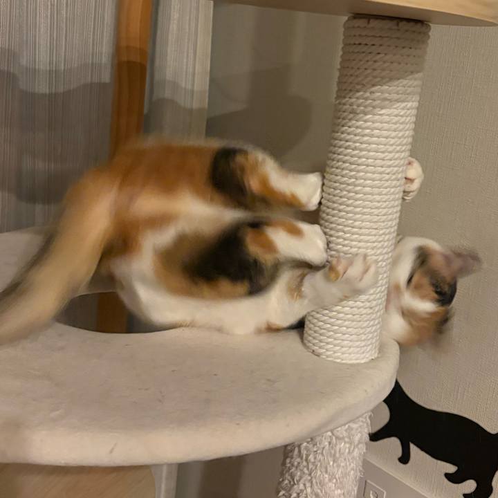 47f38f99 4345 42b7 950f d3ad5f037e69 1773790560971