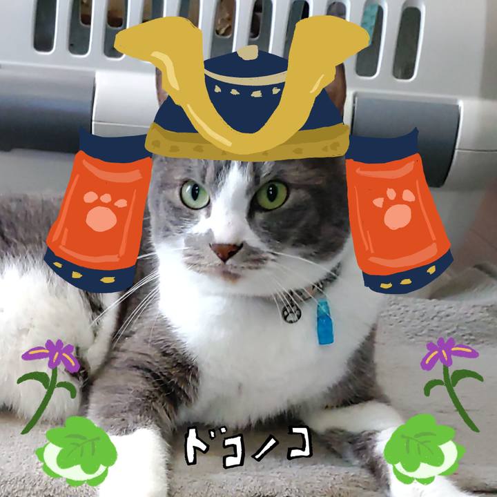 47f39a83 7da0 4161 a895 1ebcc0a0f0c0 1714886800356