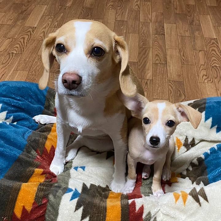 47f3ca03 5677 4cd8 ac80 ec798c4acf54 1665368494567