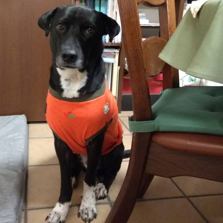 47f3d2a5 333b 4177 92f7 5344a5470fe4 1611139352148