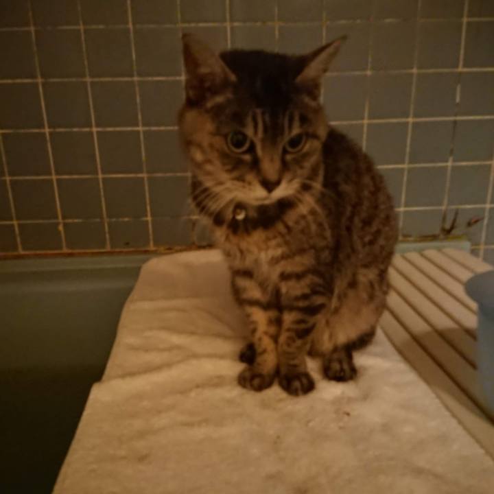 47f3f2cb 4d32 46f4 ba83 518ddfd0b0bb 1606901063580