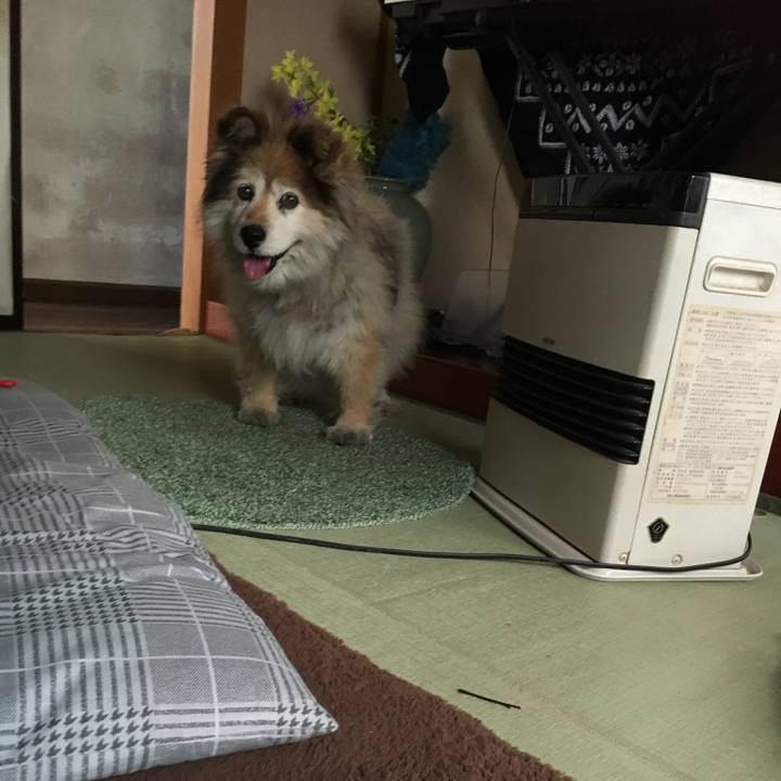 47f438e0 1bc6 4708 8a87 ec75de8d9b19 1582515642050