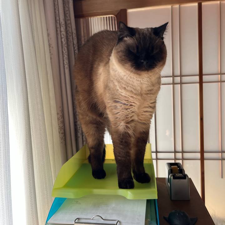 47f46282 ed53 4107 8140 4f6721c16f4c 1647905561825