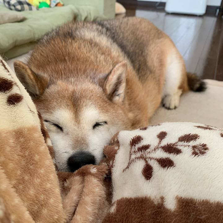 47f4698b 46cc 4fd0 9ca3 be5c0cd2d64b 1583906334873