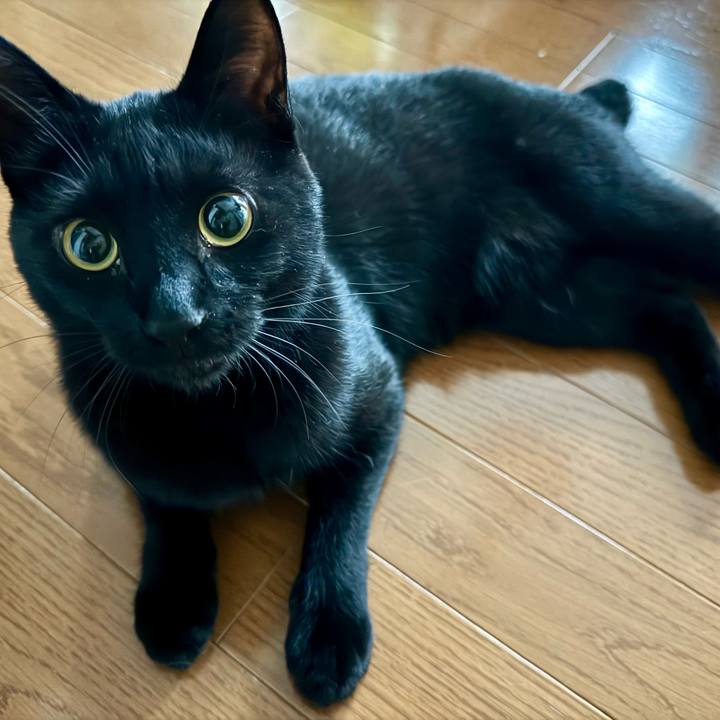 47f46f1b bfeb 4ae1 932b eab8b2021ae4 1746489688334