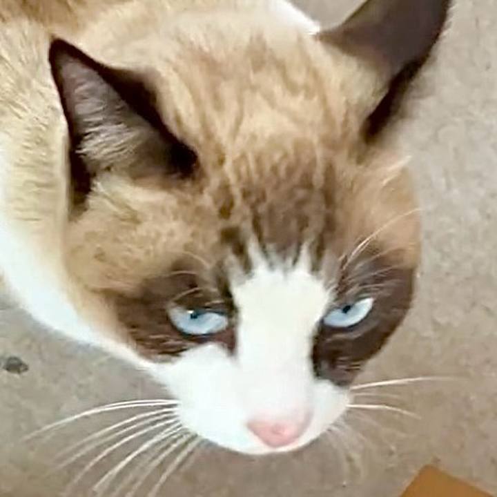 47f487c8 eaa2 4acc a074 f1e8ecaecd6c 1734061410559