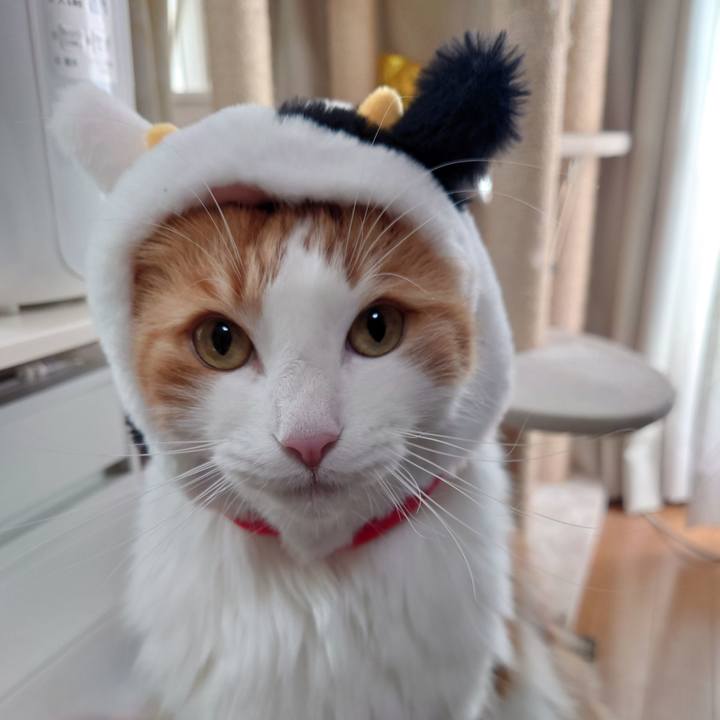 47f4a0e9 efb3 4827 8e9d 1a5d2c789770 1609558784334