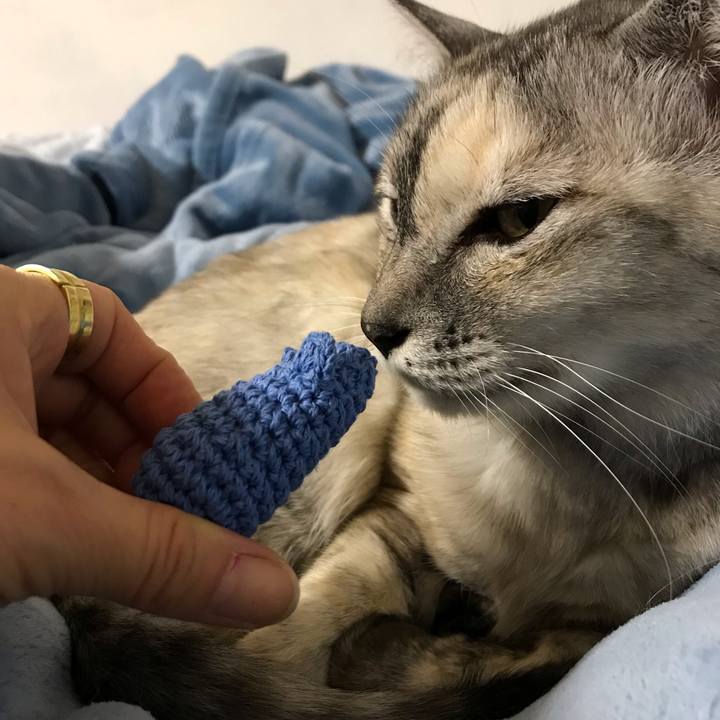 47f4b73c 81e6 408e 9150 258ba70da9bf 1666012425736