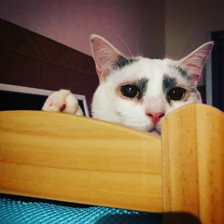 47f4be58 1e9a 4bfd b4b3 e45e3938a44a 1547842039293