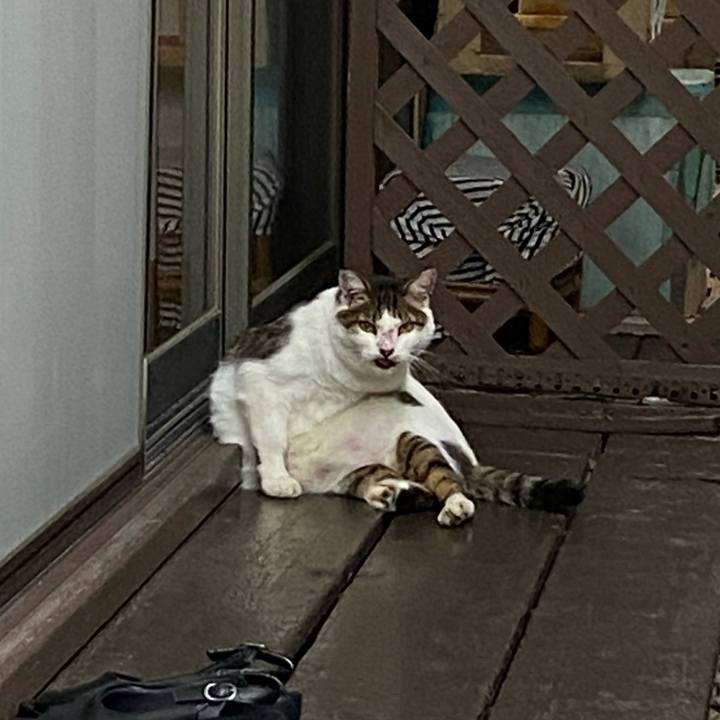 47f4d2ea a4e8 4d9d a57d fbfadefd1456 1666510724274