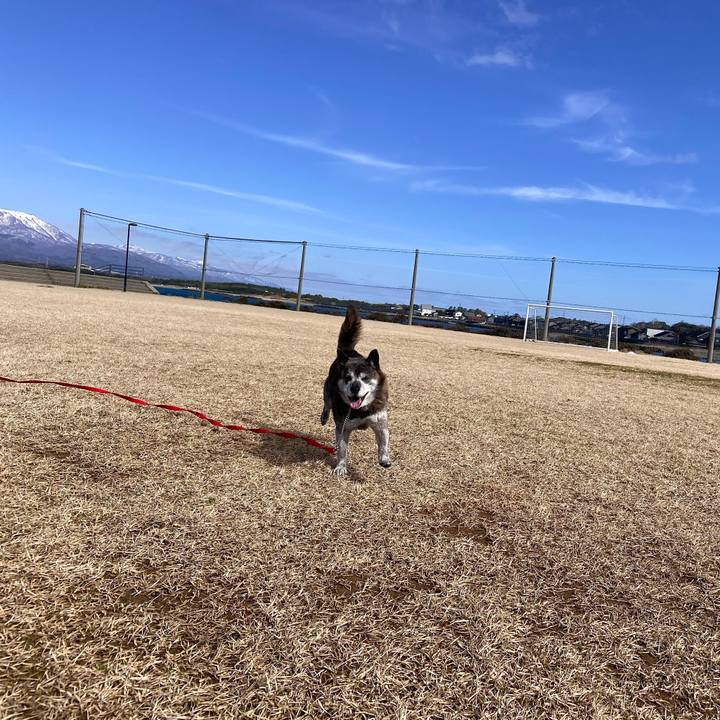 47f51fd5 f9e0 4d9d 944a 67ab33ec2ed4 1708161979162