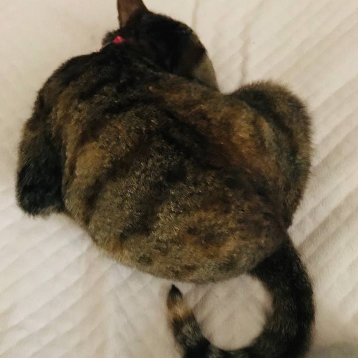 47f528b7 94e2 4715 87fc 4ddd3599c867 1592354559062