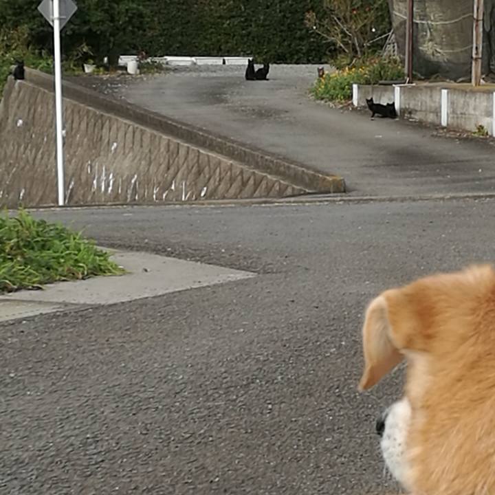 47f542da d2fb 4873 9f6a 5b6a003a8ff9 1543056287777