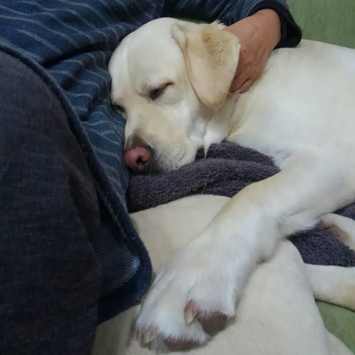 47f544cb 9806 4d9a 8f56 95ccd82068b3 1512192138054