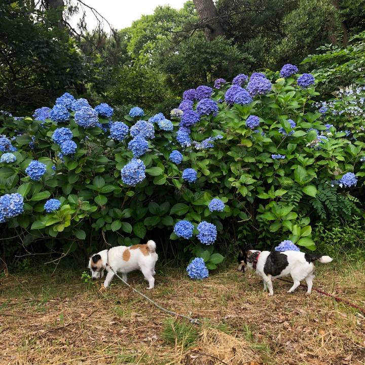 47f5542c c083 4f8c 8036 787df26fe86d 1563408891104