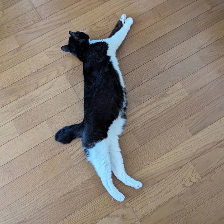 47f561dc 815e 4bad a091 5b6eb7bf3a21 1718263138479