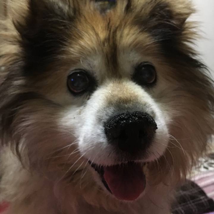 47f56613 5d81 4060 ad0e 176d44136416 1566123841756