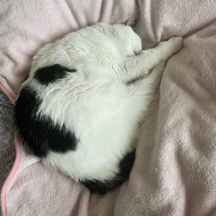 47f5773f 217b 4d82 bf7e d3e5353a58de 1607828336207