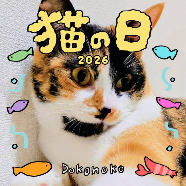 47f57981 502a 4e03 bd90 e5f1b40037d5 1771715559380