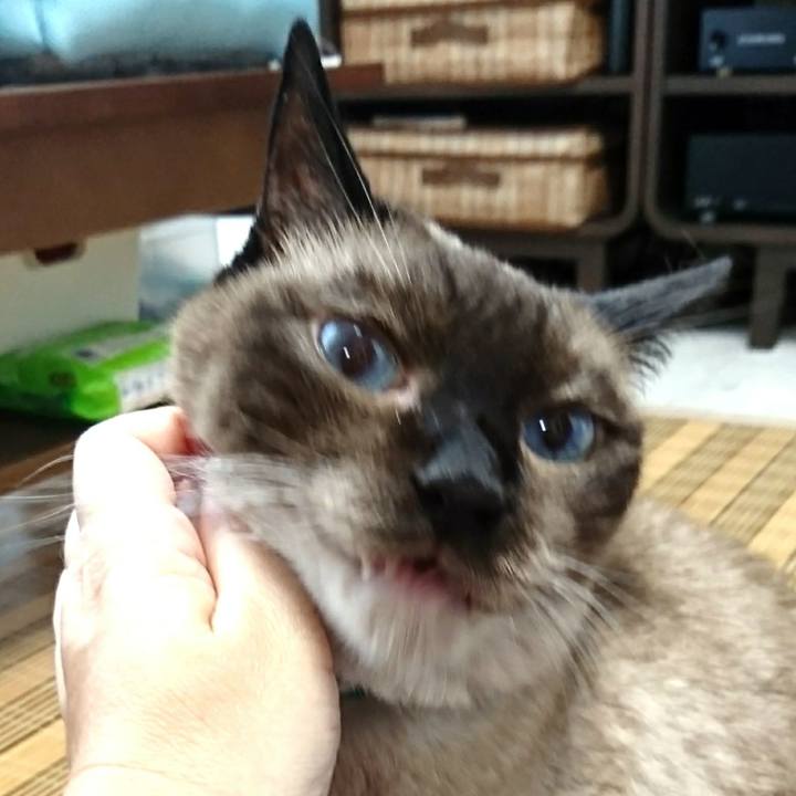 47f57f01 82b2 4707 abab 3c9a79030065 1532129172844