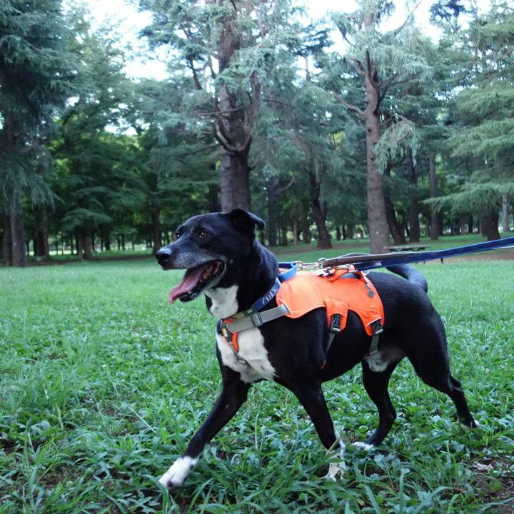 47f58416 b371 4f0d 9667 82c8bc28505d 1722164654718