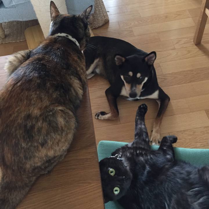 47f59389 d1bc 4808 a35c 353dddfaae54 1538785638797