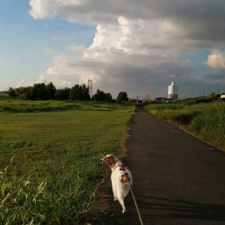 47f59cf7 04b6 404a 9907 5babf00e3742 1598615865239