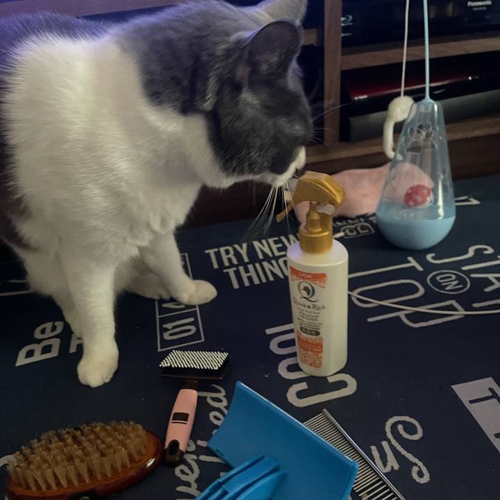 47f620db 4a53 4762 8210 0249db61d446 1715476915329