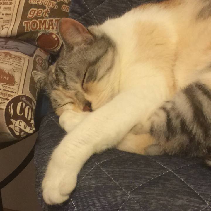 47f632c3 c606 40af 8eda 69318ccf6614 1561811085042