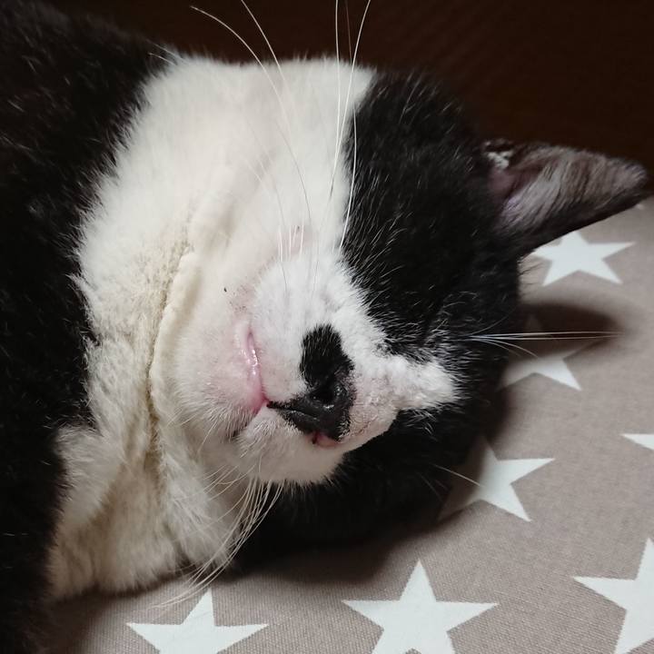 47f63b04 a074 46e4 b84c 31b5c1b1985f 1632739810391