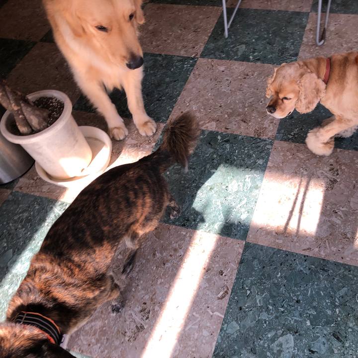 47f64a9e 1463 40d1 99f9 bfbc71b4b868 1611329706769