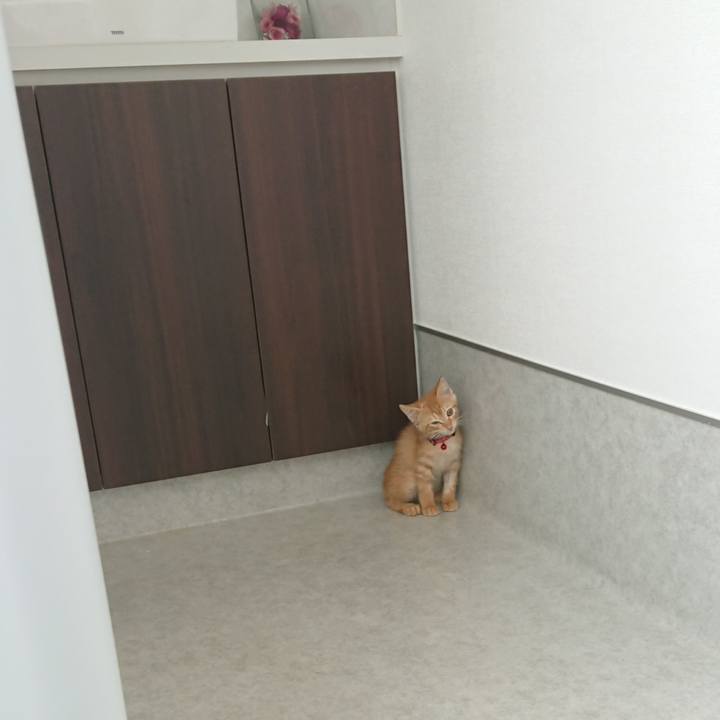 47f64cc1 0342 42c2 bdbd 4dd3bbc4fb33 1628476396385