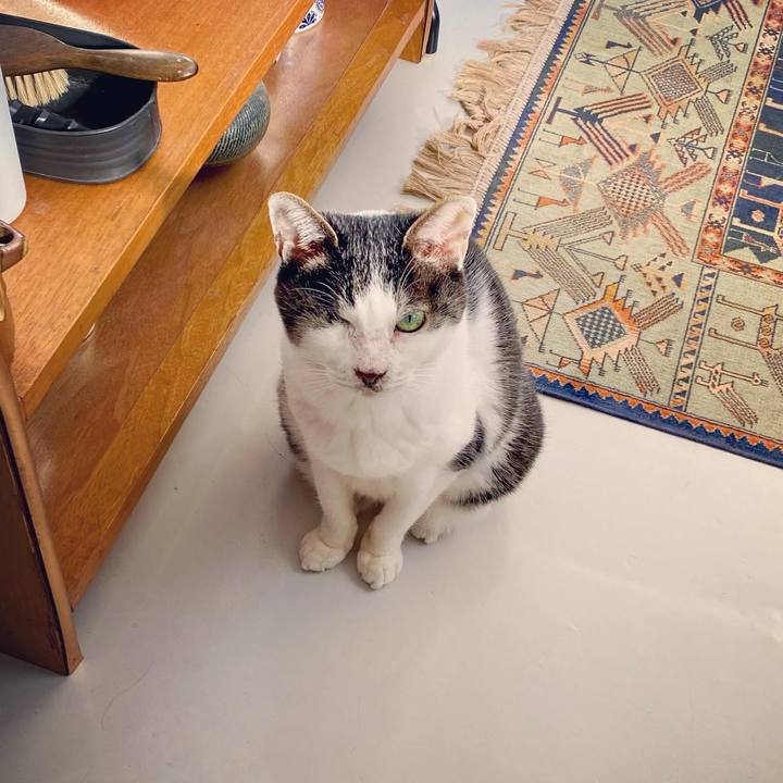 47f6841f 54f6 4150 a033 f6552f372e1d 1611295447234