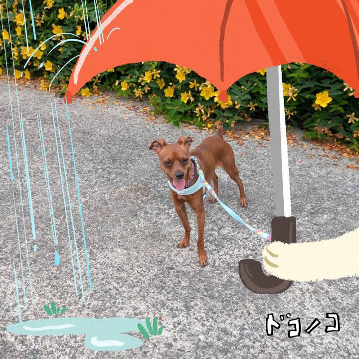 47f68a6c 0eec 4ea1 b3cc 36e775849069 1749297231842