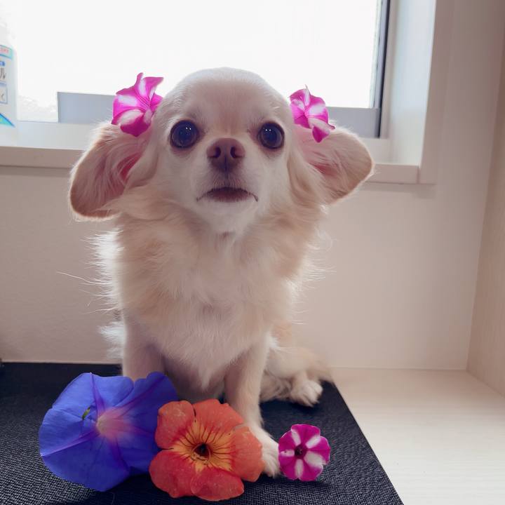 47f6b503 f324 4090 b432 82e16af68506 1719631708887