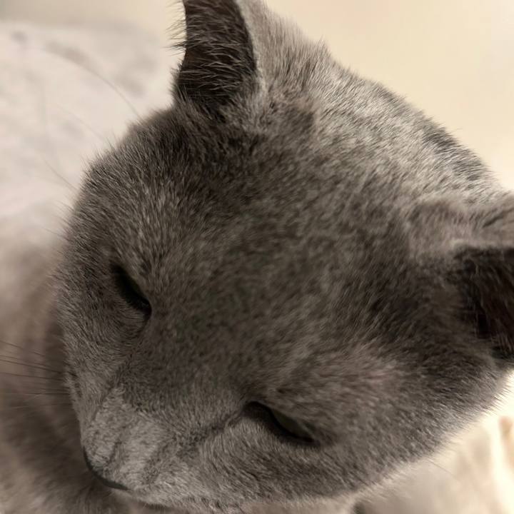 47f6c552 a33f 4b3a 8eb9 b097b1949a76 1686234011958