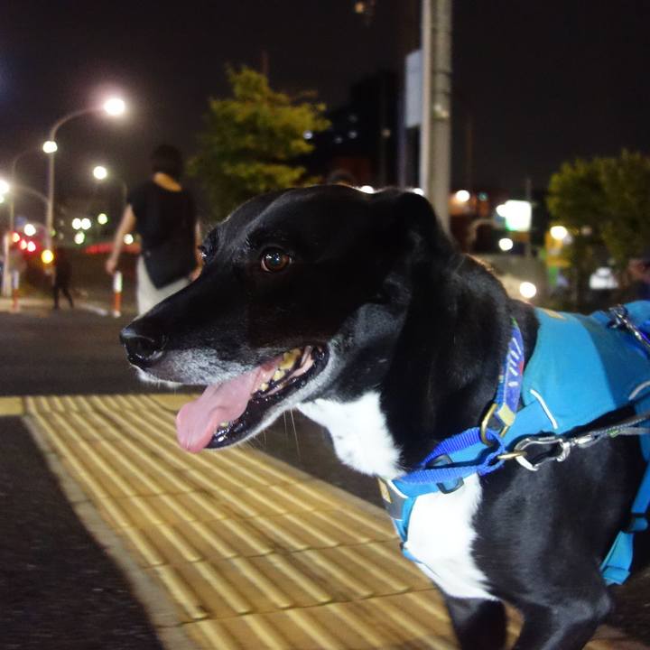 47f70d01 c1c6 45a2 bddf 074158ace9ed 1693996303502