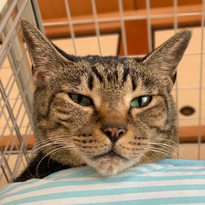 47f70f87 6eb0 4ad8 83e8 5878037f94aa 1539568372893