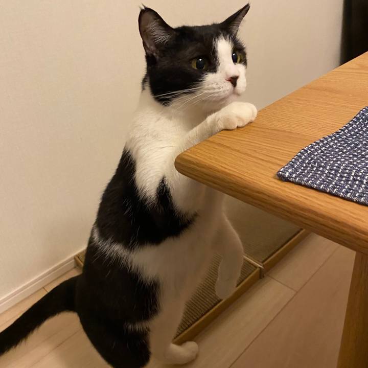 47f727e0 c178 4be1 8524 e1fc015ab4dd 1715433746570