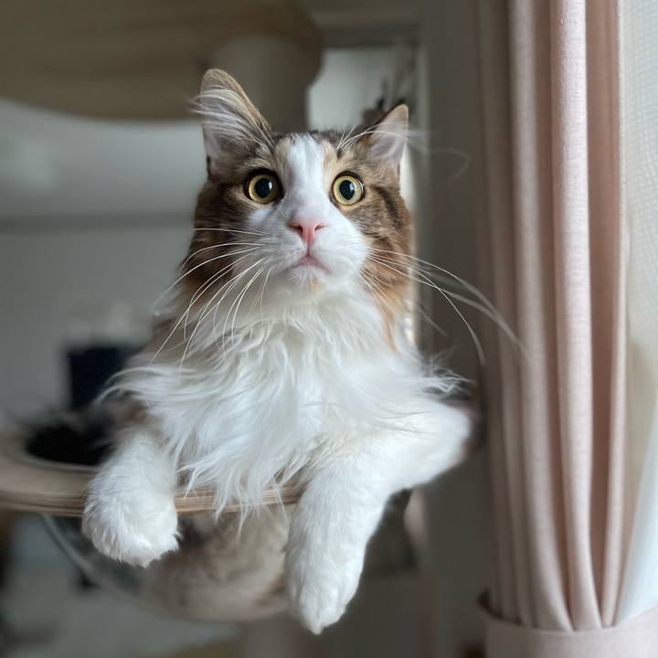 47f738e4 b4f4 4df4 a519 ea03087da148 1651780732069