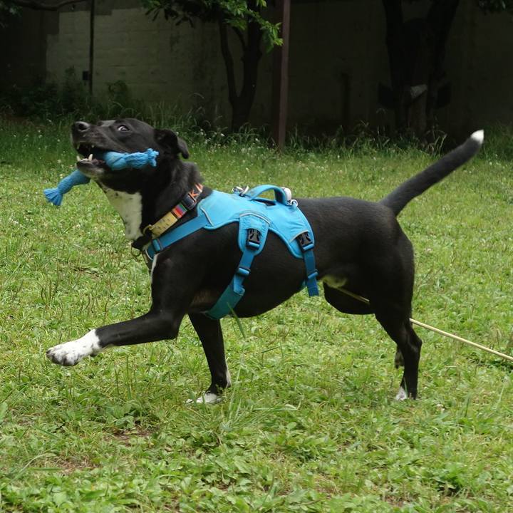 47f74532 9f6e 4185 b646 3b911fab113c 1621127144658