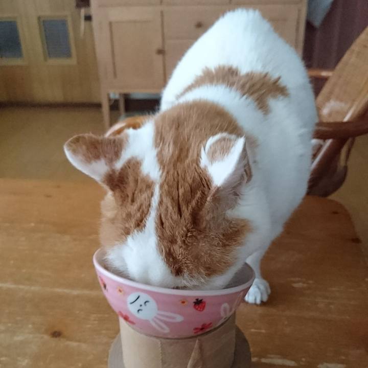 47f77948 95b9 4299 b0f6 9ea881a72f2e 1679652079147